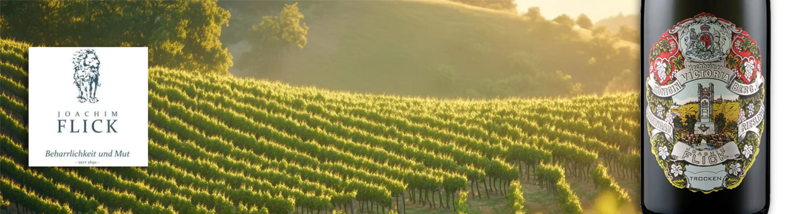 deutschland_Rheingau_weingutJoachim Flick