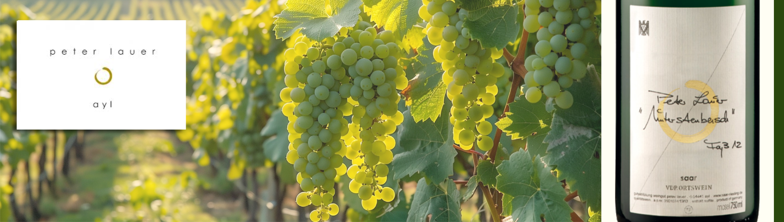 Mose saar_ Weingut Peter Lauer