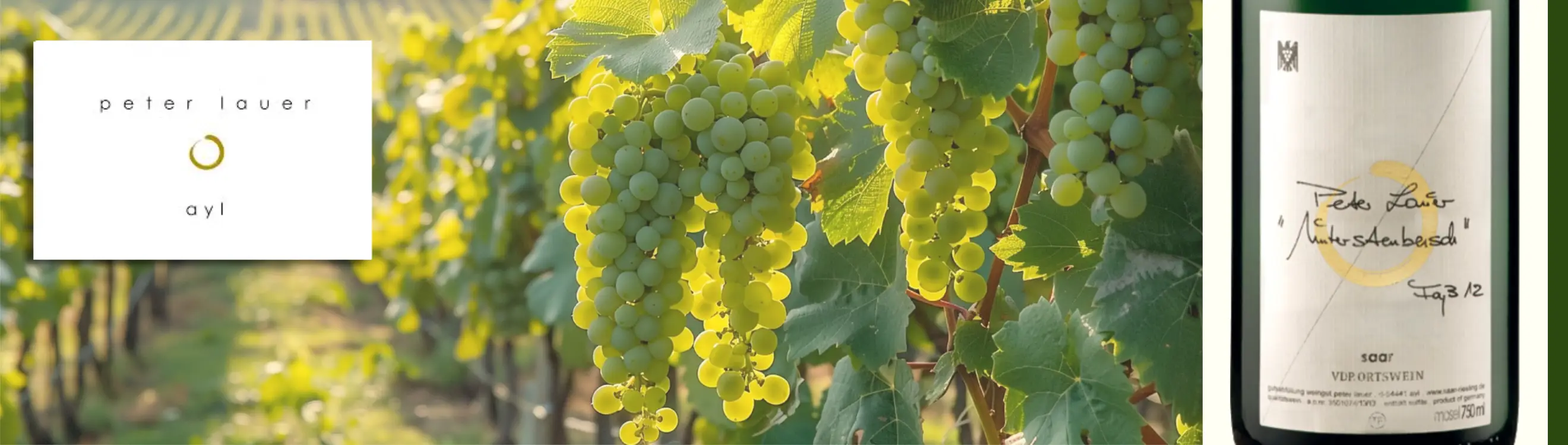 Deutschland_Mose_saar_ Weingut Peter Lauer