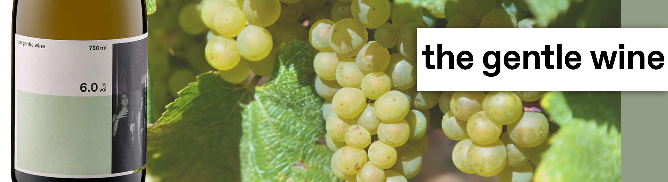 deutschland_Rheingau_the gentle wine