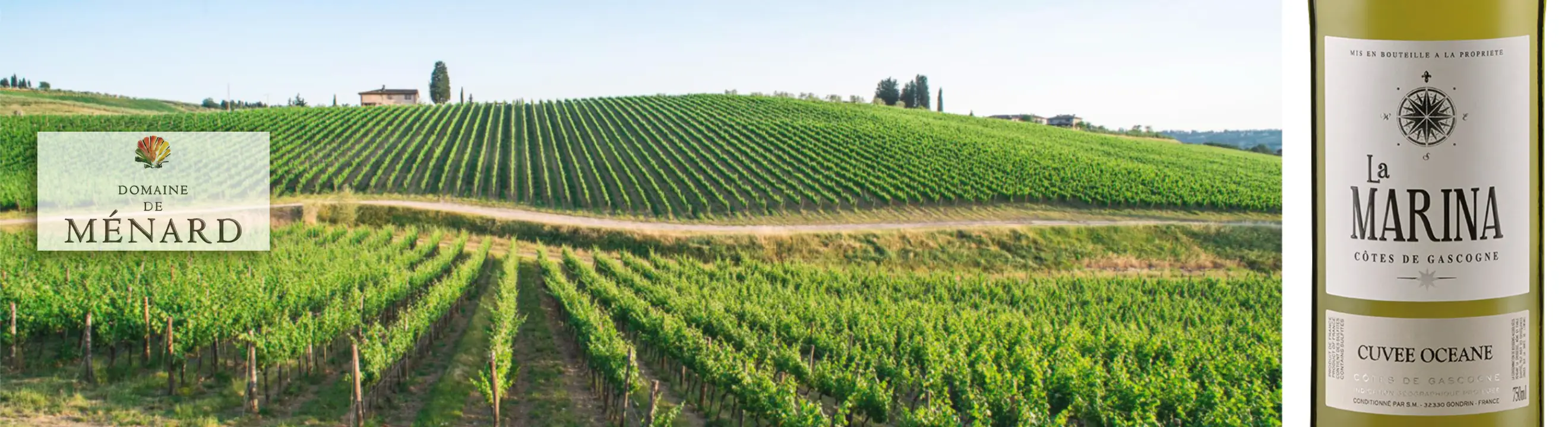 Frankreich_Gascogne_Domaine de Mercellin