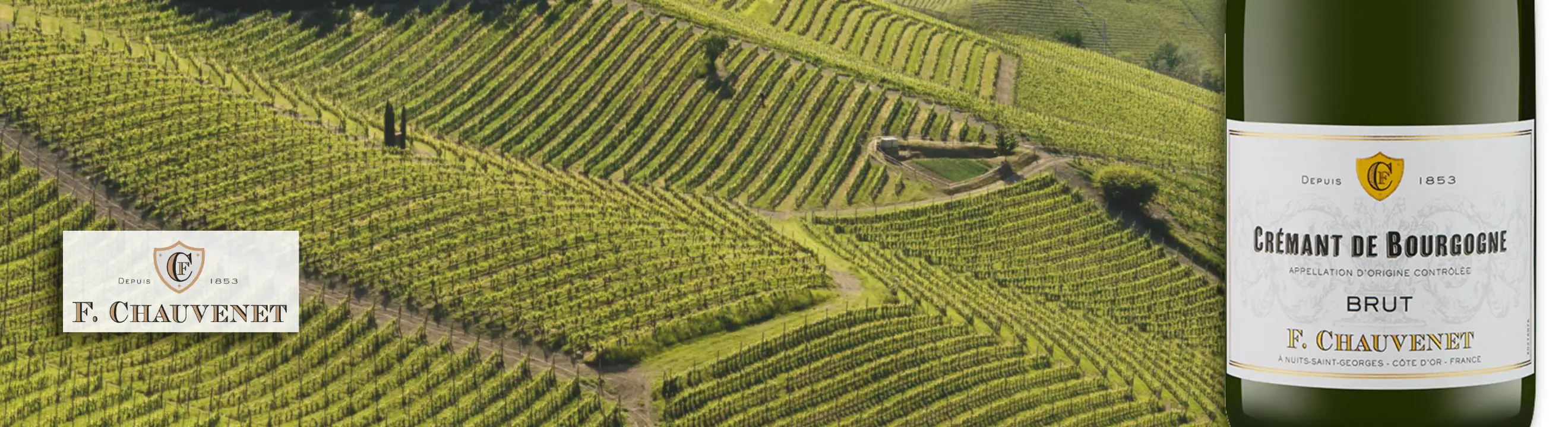 Frankreich_Cremant_Francoise Chauvenet