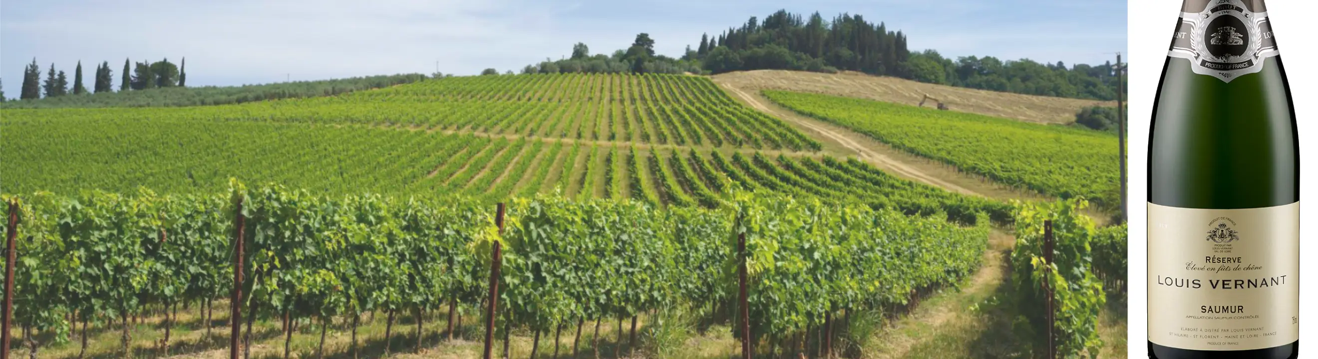 Frankreich_Cremant_Louis Vernant