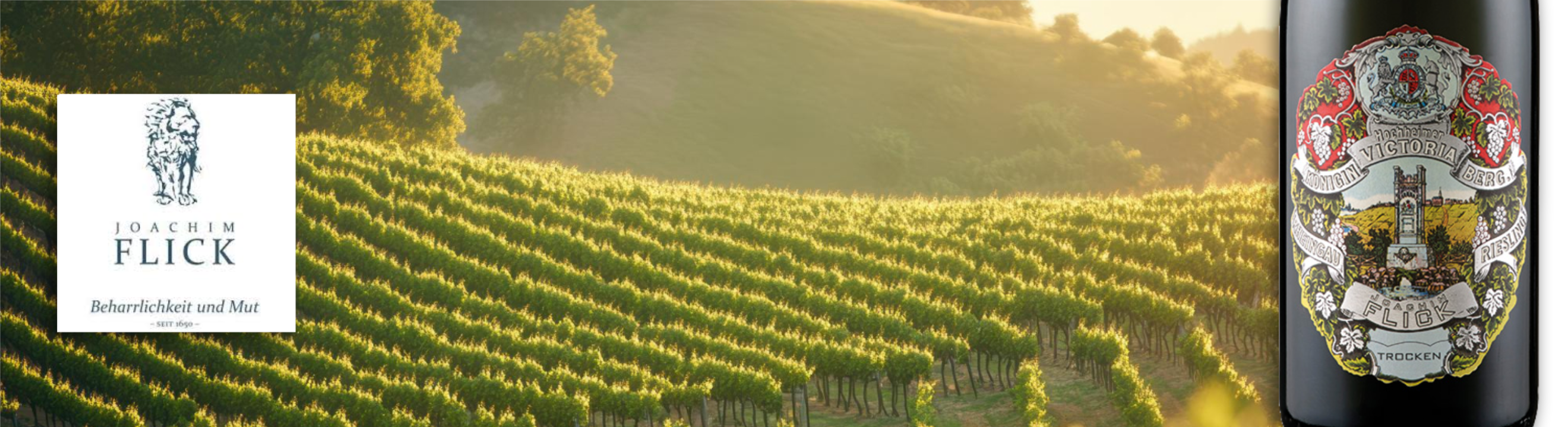 deutschland_Rheingau_weingutJoachim Flick