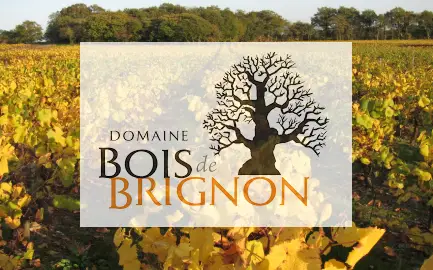 Domaine Bois de Brignon Domaine Bois de Brignon