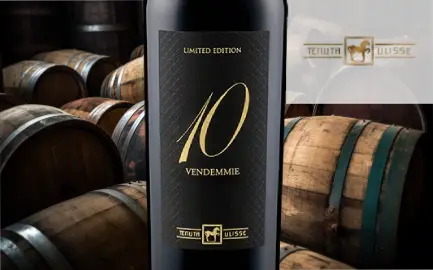 Tenuta Ulisse Tenuta Ulisse