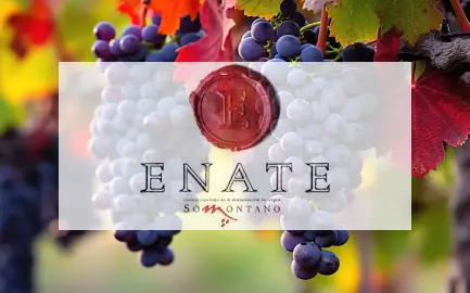 Enate Enate