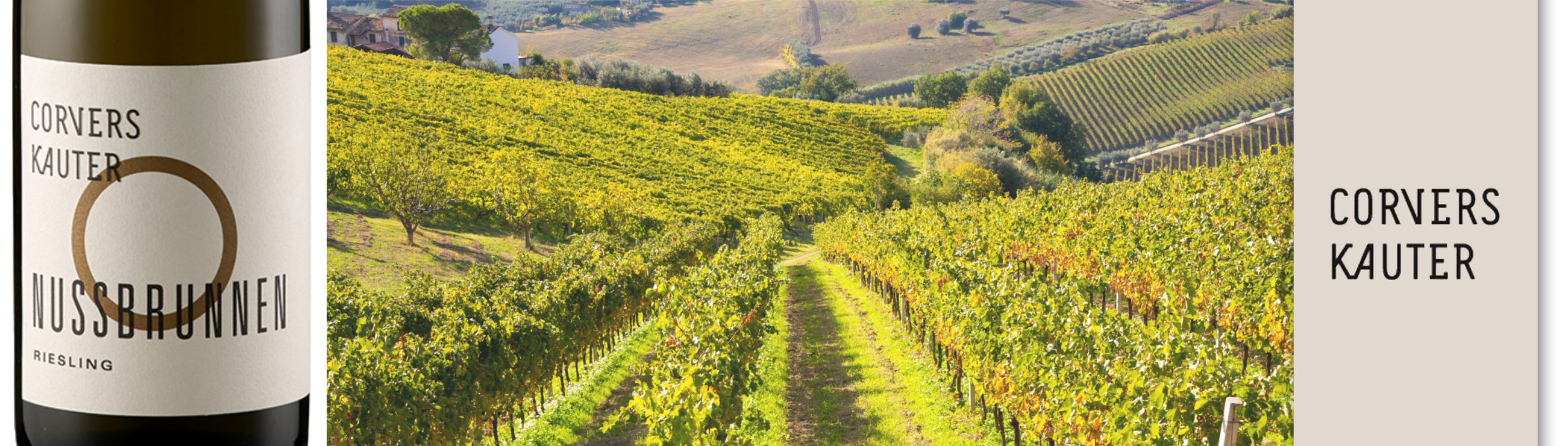 Rheingau_Dr. Corvers-Kauter