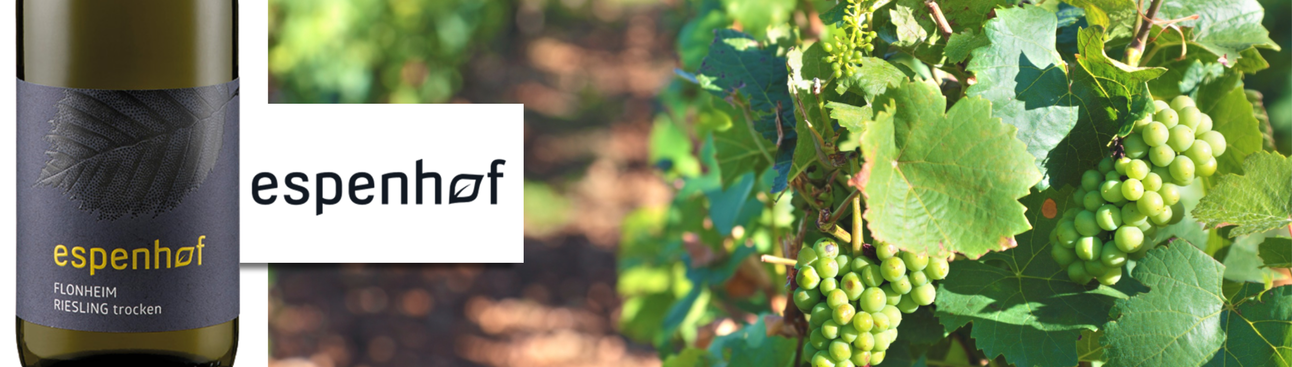 Rheinhessen_Weingut Espenhof