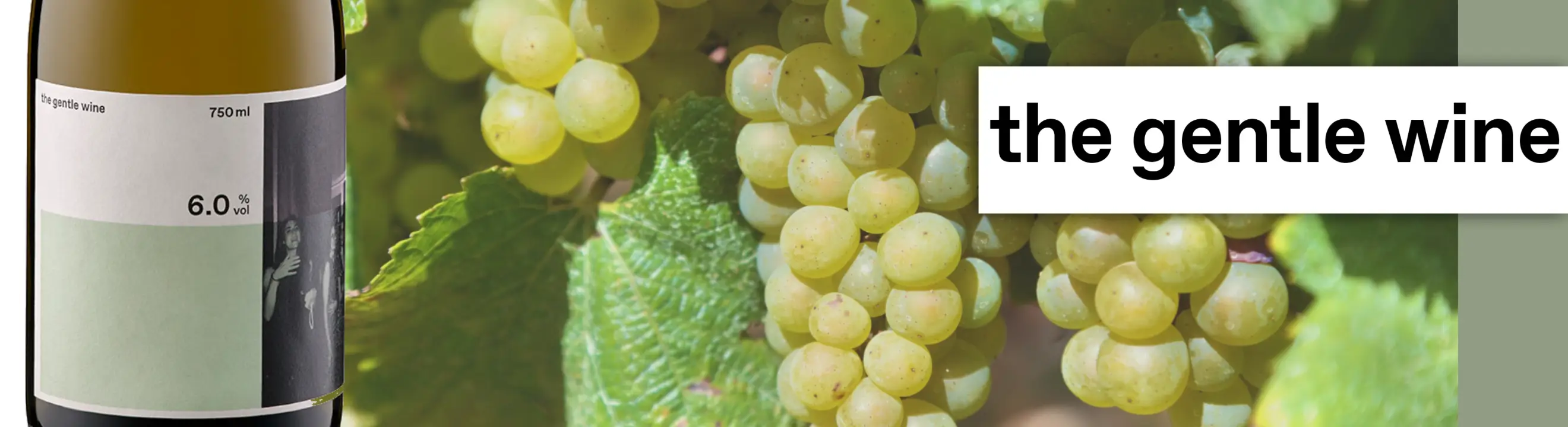 deutschland_Rheingau_the gentle wine