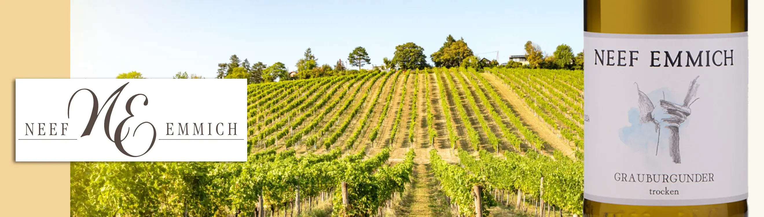 deutschland_Rheinhessen_Weingut Neef-Emmich