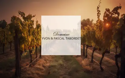 Domaine Yvon et Pascal Tabordet Domaine Yvon et Pascal Tabordet