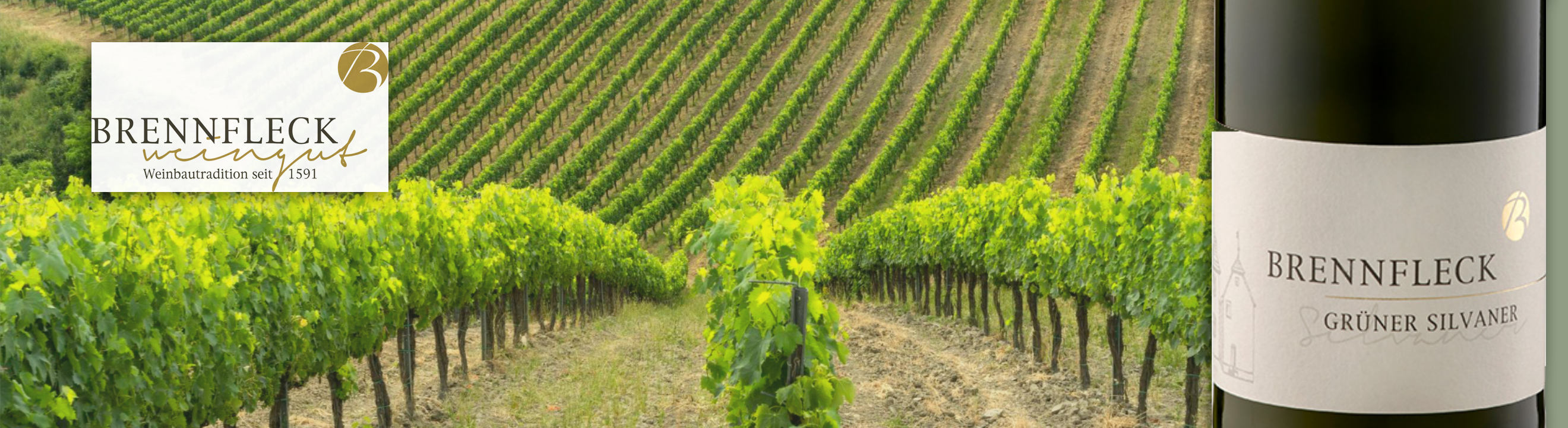 deutschland_Franken_Weingut Brennfleck