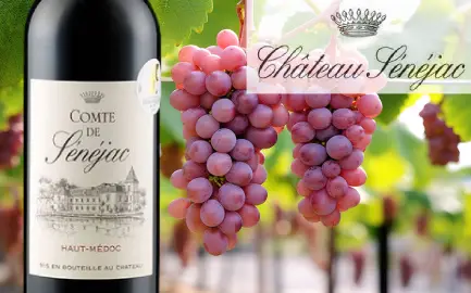 Chateau Senejac Chateau Senejac