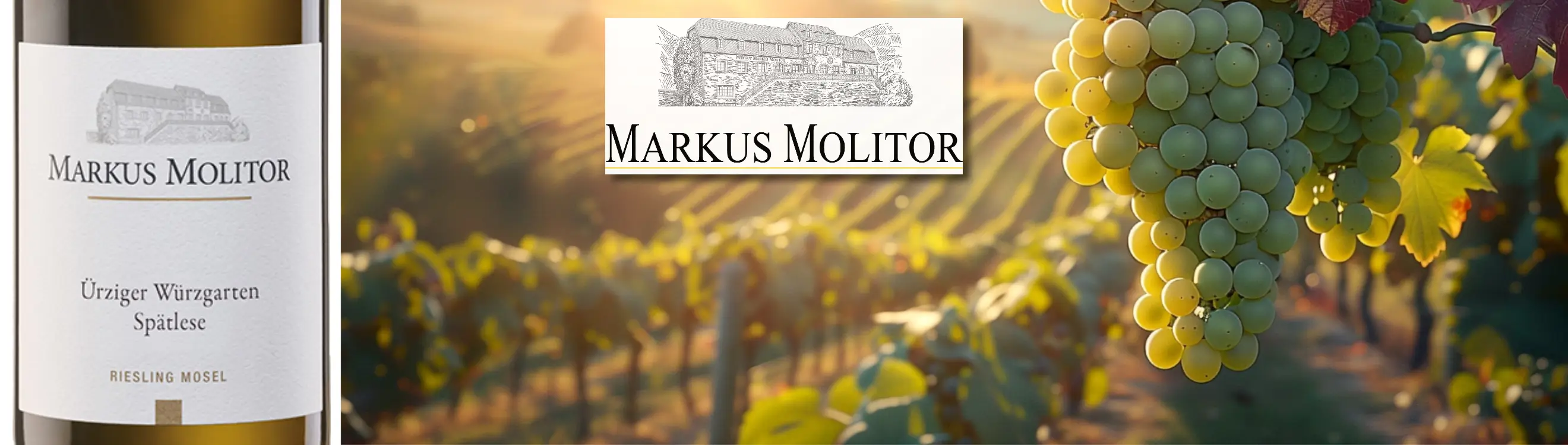 deutschland_Mosel_saar_weingutnMarkus Molitor