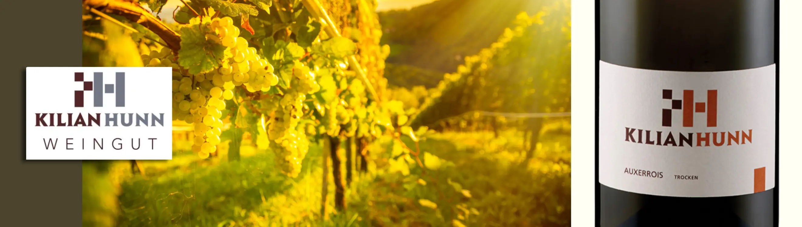 deutschland_Baden_weingut kilian Hunn