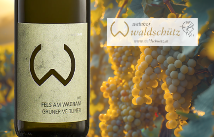 Weinhof Anton Waldschütz Wagram
